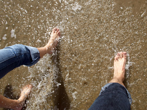 Bauernhofurlaub Beliebtester Ferienhof 2021 S-H Schleswig-Holstein Dithmarschen Nordfriesland Friedrichskoog Büsum St. Peter-Ording Ferienwohnung Nordseeküste Ferienbauernhof Urlaub mit Kindern